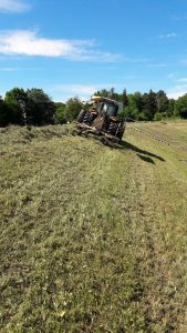 20170613 160805 169x300 Landschaftspflege